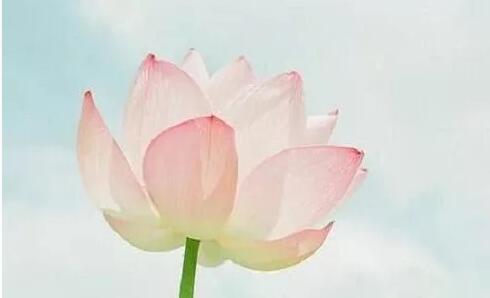 չ磺ֻһ˵ĺ쳾
